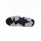 Air Jordan 6 Grayish Purple